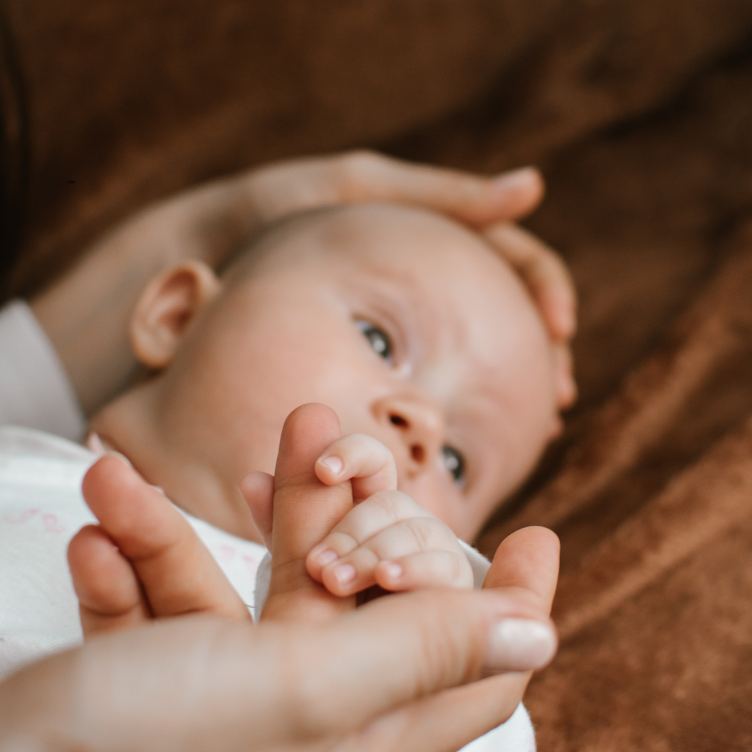 Mama's Fresh Start (Postpartum Reset)